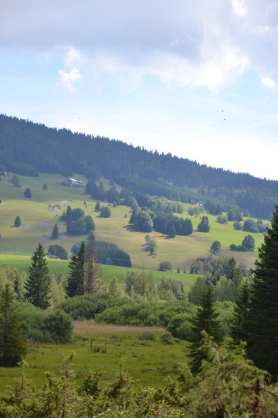 Photo du 16/08/2013 14:32